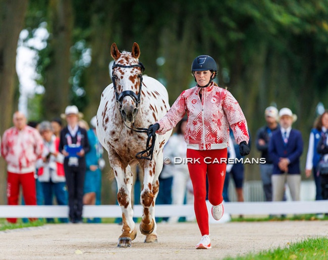 Jody Schloss’ El Colorado (CAN) being trotted up at the horse inspection for the 2024 Paralympics :: Photo © Hippofoto