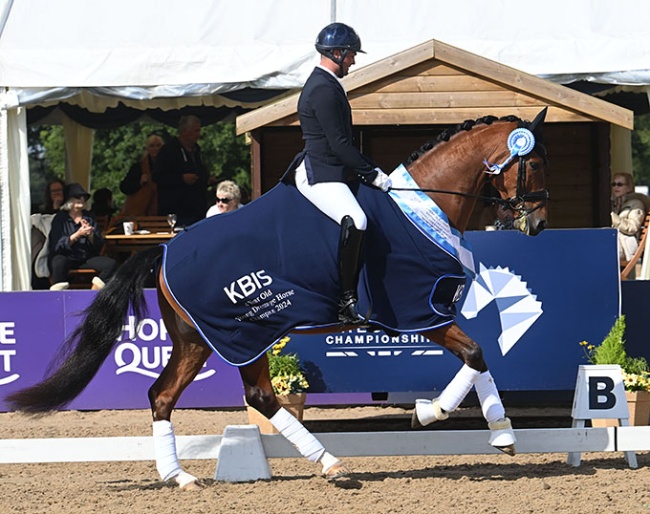 Jezz Palmer on Premier in the 2024 British Young Horse Championships :: Photos © Kevin Sparrow