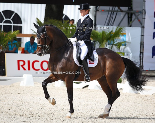 Edward Gal and Sisther de Jeu at the 2011 European Dressage Championships :: Photo © Astrid Appels