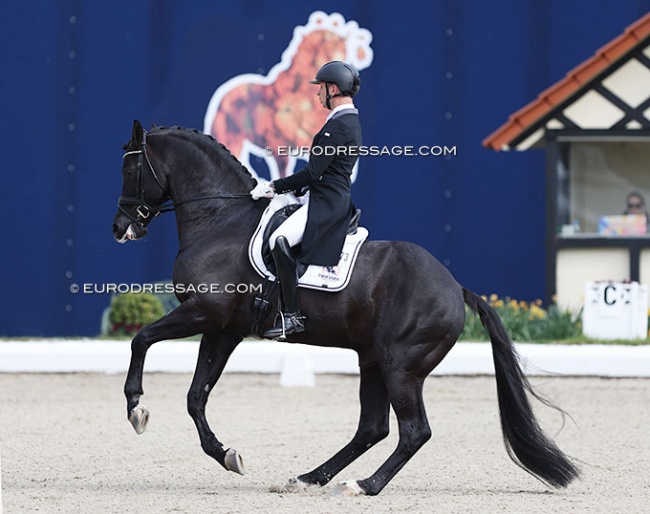 Bart Veeze and Imposantos at the 2022 CDI Hagen :: Photo © Astrid Appels