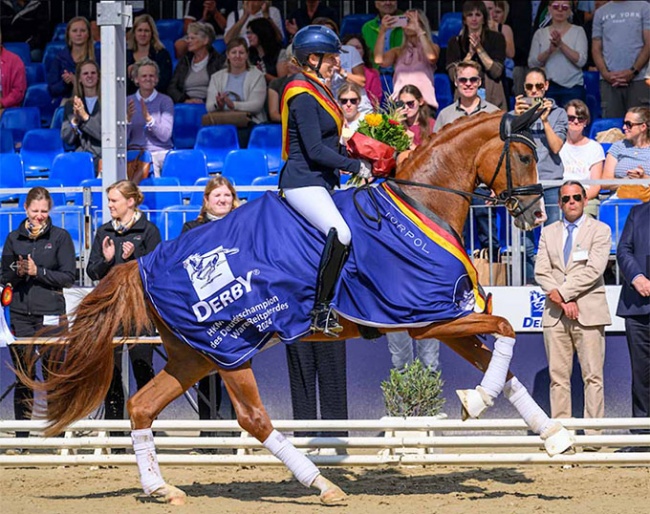 Mantovani Horses acquired the 2024 Bundeschampionate winner "Senorita La Bonita" at the Westfalian Autumn Elite Auction :: Photo © Westfalenpferde.de