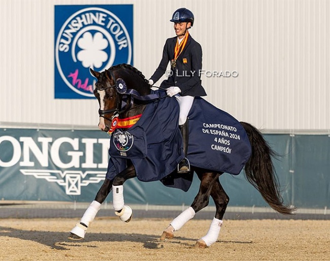 Sergio Moron Basoco on Flanagan Elton win the 4-year old division at the 2024 Spanish Young Horse Championships :: Photo © Lily Forado
