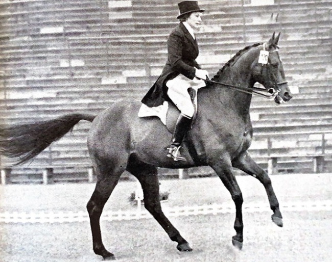 Joan Gold on Gay Gordon at the 1961 FEI Championships held in the Aachen Tivole stadium :: Photo © Aachen Museum