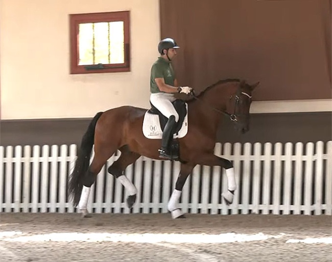 Glamour Hope Malleret PS (by Glamourdale x Vitalis)