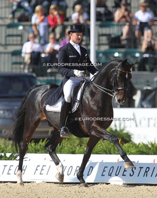 Matthias Rath and Sterntaler at the 2010 World Equestrian Games :: Photo © Astrid Appels