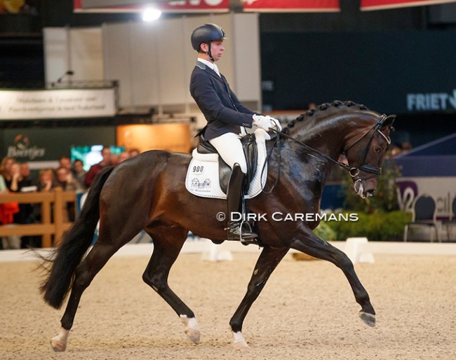 Bart Veeze and Daily Diamond at the 2018 KWPN Stallion Competition Finals :: Photo © Dirk Caremans