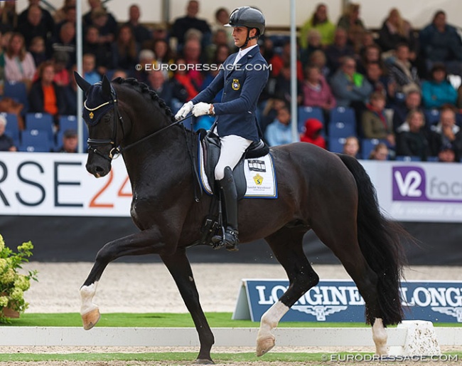 Skyline to B at the 2023 World Young Horse Championships :: Photo © Astrid Appels