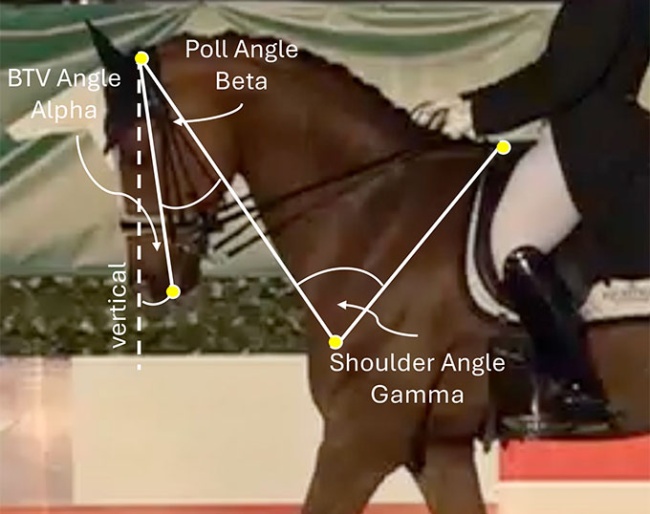 GET analysing the head/neck position of a horse with A.I.