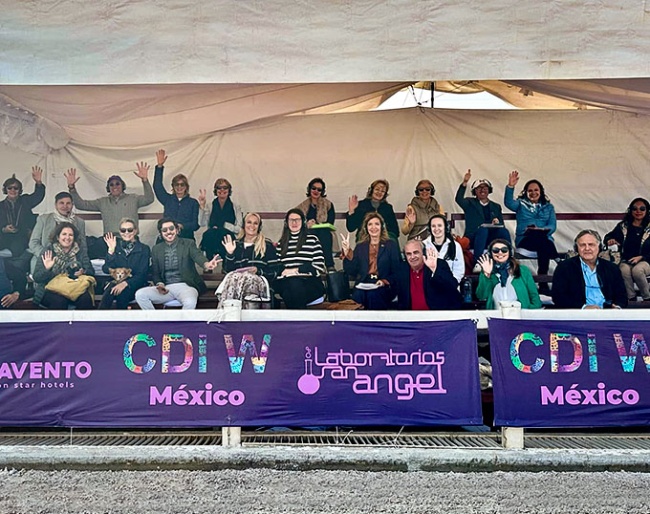 FEI Judges Seminar at the 2024 CDI-W Lerma in Mexico :: Photo © private