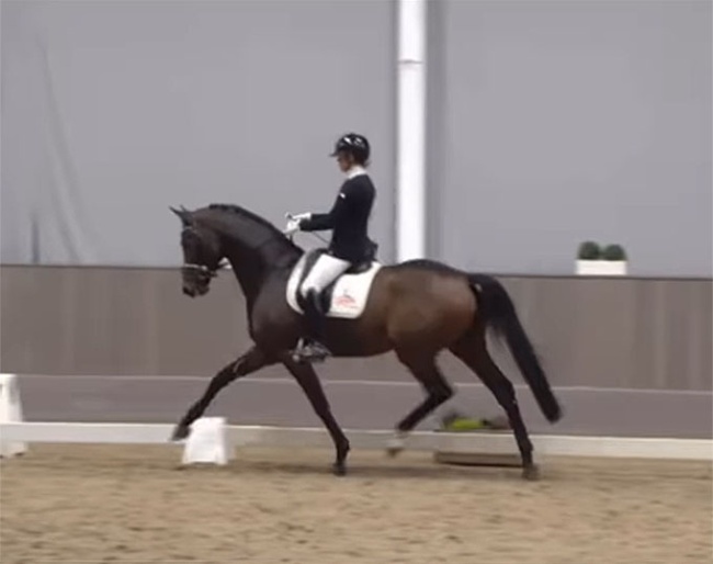 Beatrice Arturi on Sir Gribaldi in the sport test