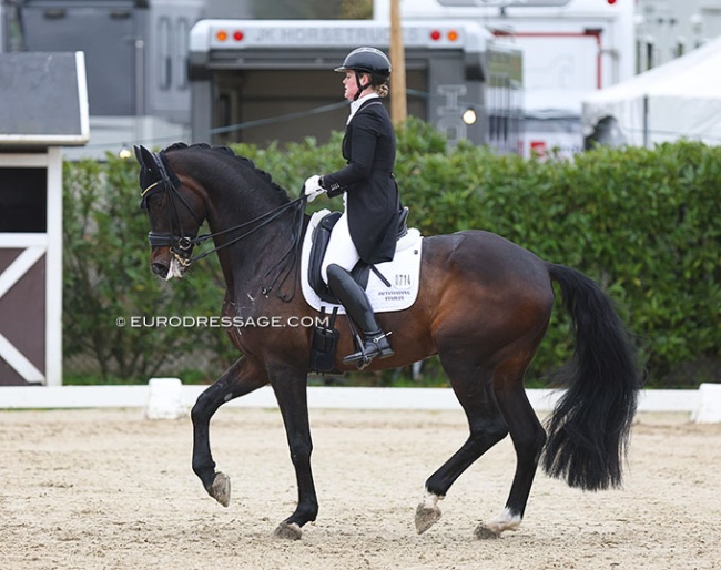 Malin Wahlkamp-Nilsson on Sam at the 2024 CDI Sint-Truiden :: Photo © Astrid Appels