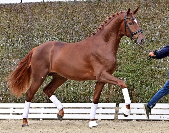 Bon venido PS (by Vitalis x Top Gear)