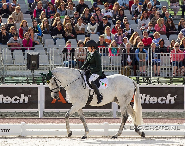 Helen Kearney and Mister Cool at the 2014 World Equestrian Games :: Photo © Digishots