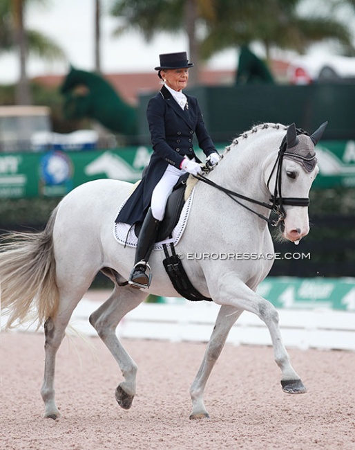 Janne Rumbough and Junior at the 2015 CDI Wellington :: Photos © Astrid Appels
