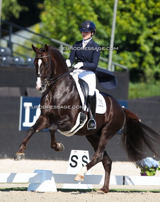 Giovanni at the 2018 World Young Horse Championships :: Photo © Astrid Appels