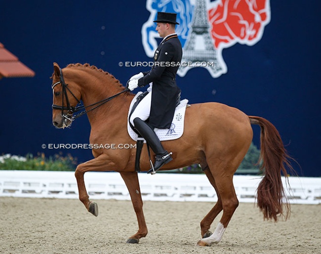 Frederic Wandres and Duke of Britain at the 2019 CDI Hagen :: Photo © Astrid Appels