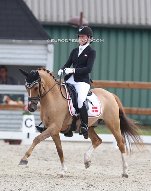 Caroline Jorgensen and Dr. Doolittle at the 2021 CDI Grote Brogel :: Photo © Astrid Appels