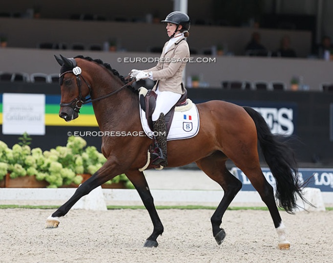 Charlotte Chalvignac-Vesin on Dempsey FBC at the 2024 World Young Horse Championships :: Photo © Astrid Appels