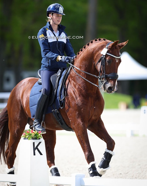 Jessica Dertell and Sabble Farm's Cennin at the 2024 CDIO Compiegne :: Photo © Astrid Appels