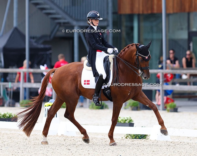 Michella Skovsager on Blue Hors Zampalo at the 2024 European Championships in Opglabbeek :: Photo © Astrid Appels
