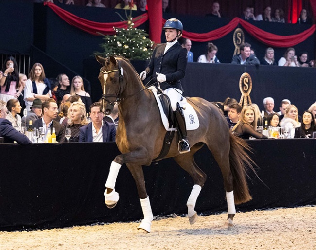Vivendy at the 2024 PSI Auction in Ankum