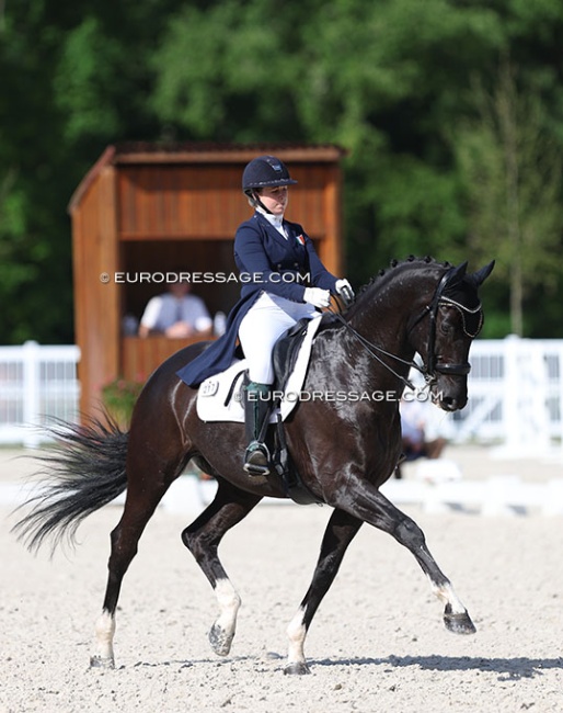 fenella Quinn and Empire B at the 2022 CDIO Compiegne :: Photo © Astrid Appels