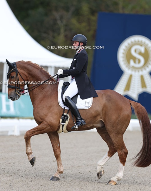 Mathis Goerens and Flash Gordon in the Louisdor Cup qualifier at the 2024 CDI Hagen :: Photo © Astrid Appels