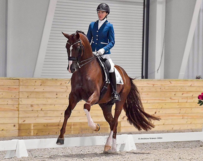 Jessica Howington and Lordswood Bernstein SL at the 2024 CDN Ocala :: Photo © Andrew Ryback