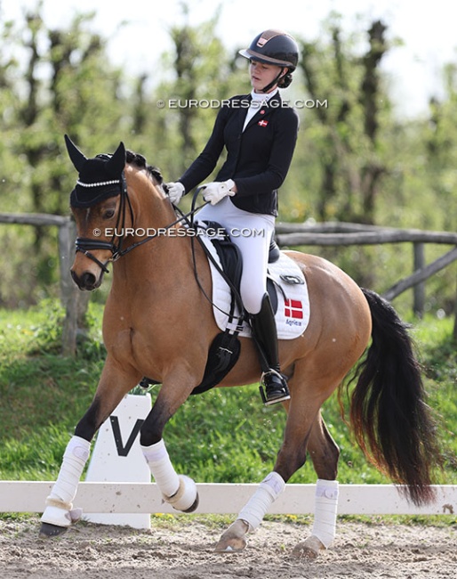 Alberte Harsbo and Mysterie Check at the 2024 CDI Sint-Truiden :: Photo © Astrid Appels