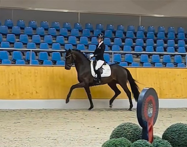 Dynamic Pur (by Dynamic Dream x Finest x Dancier)