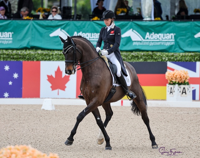 Susan Pape and Eclectisch at the 2025 CDI-W Wellington