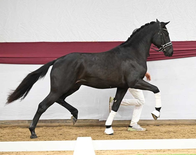Final Countdown (by Fynch Hatton x De Niro)