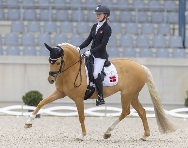 Emilie Hansen and Bossa Nova Bitsch at the 2024 CDI Aachen Festival 4 Dressage :: Photo © Digishots