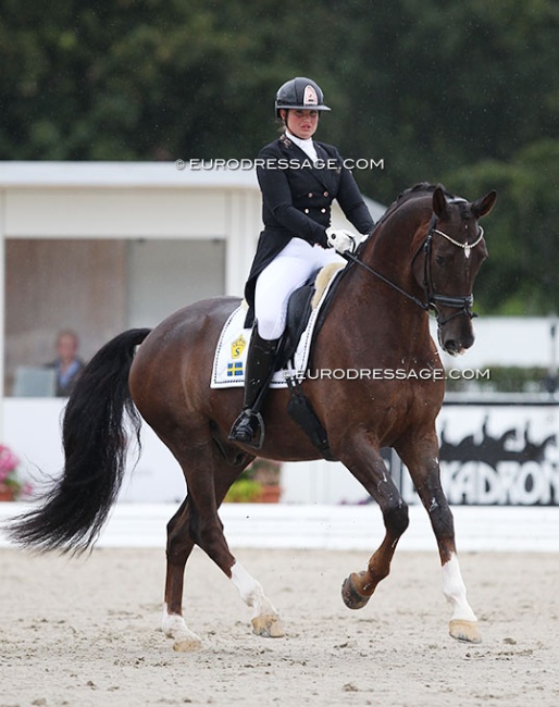Mia Runesson on Zenit at the 2021 World Young Horse Championships. They are now competing at Grand Prix level :: Photo © Astrid Appels