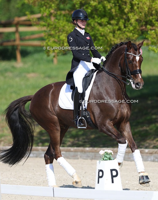 Liva Guldager Nielsen and Don Caballero at the 2022 CDI Troisdorf :: Photo © Astrid Appels