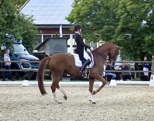 Sudhölter and Die Baroness competing at the Holtkamper dressage days in 2023