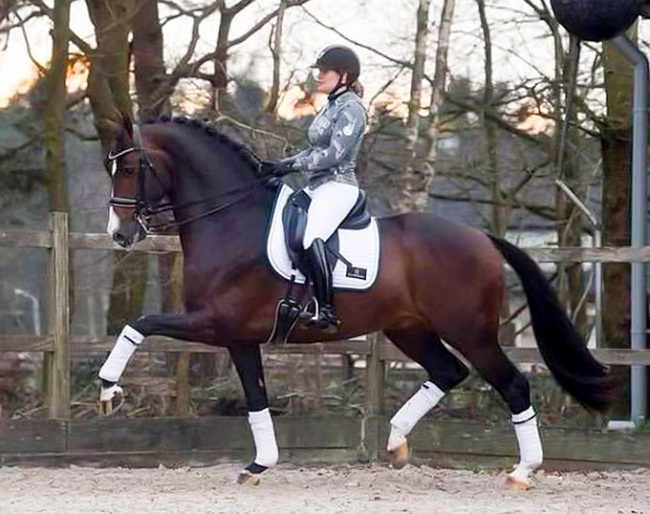 Hitmaker (by Wynton x Cabochon x Pantheon xx)