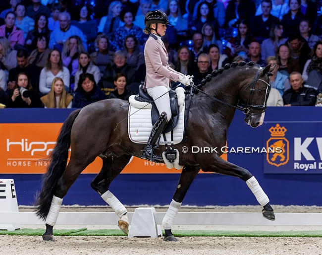 Renate van Uytert-Van Vliet and Extreme U.S. at the 2024 KWPN Stallion Competition Finals :: Photos © Dirk Caremans