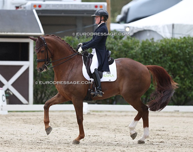 Emma Jonsson and Gerion at the 2024 CDI Sint-Truiden :: Photo © Astrid Appels