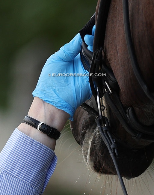 The "old way" of checking noseband tightness by an FEI steward. As of 1 May 2025 a tool will be used that needs to fit under the noseband on top of the nasal bone :: Photo © Astrid Appels