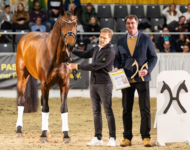 The President of the Hannoveraner Verband, Dr Hinni Lührs-Behnke, congratulates Tobias Schult on his stallion Escaneno, who was awarded the Weltmeyer Prize 2025 :: Photo © Hannoveraner Verband