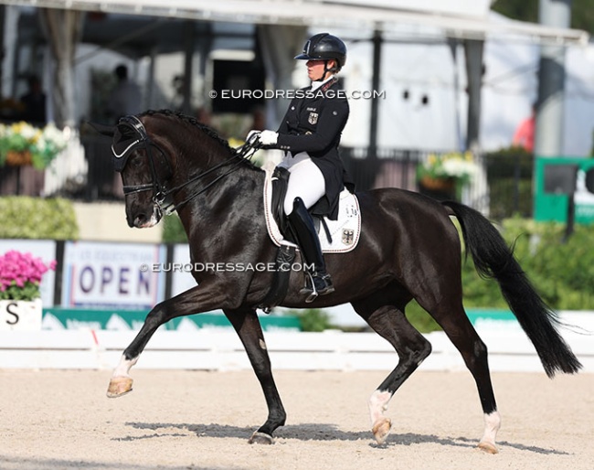 Evelyn Eger and Tabledance were the high scoring pair in the 2025 CDIO Wellington Grand Prix :: Photos © Astrid Appels