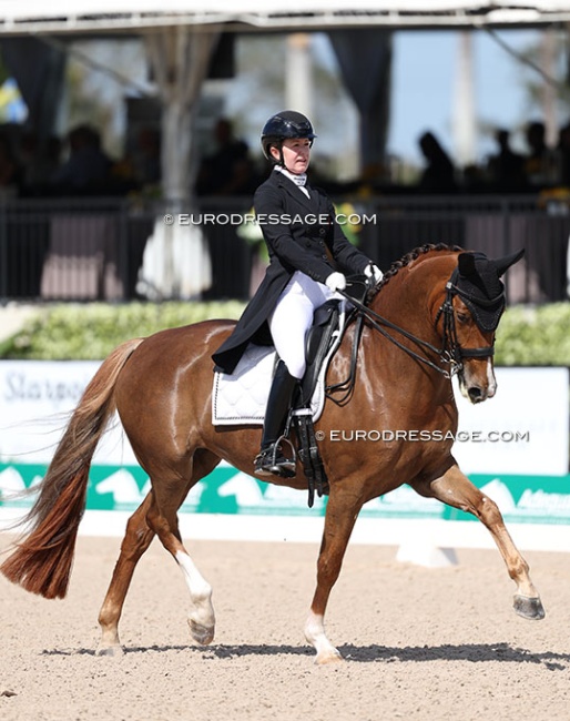Belinda Trussell and Quincy in the Developing PSG Horse class at the 2025 CDI-W Wellington :: Photo © Astrid Appels