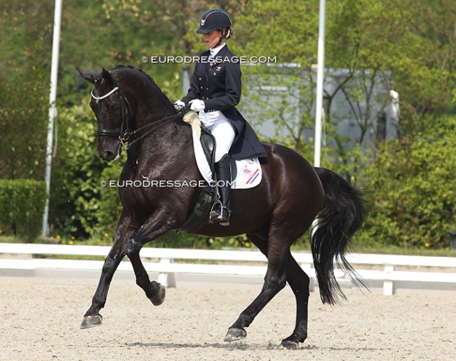 Michelle de Jonge and Pays Bas NL at the 2013 CDI Roosendaal :: Photo © Astrid Appels