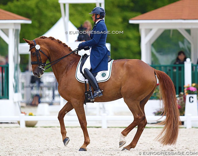 Nicole Favereau and Ginsengue at the 2019 CDIO Compiegne :: Photo © Astrid Appels