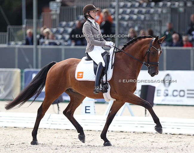 Dutch Dinja van Liere on the KWPN bred Leonidas at the 2021 WCYH in Verden :: Photo © Astrid Appels