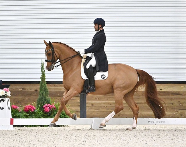 Benjamin Albright and Dominy at the 2025 CDI Ocala :: Photo © Andrew Ryback