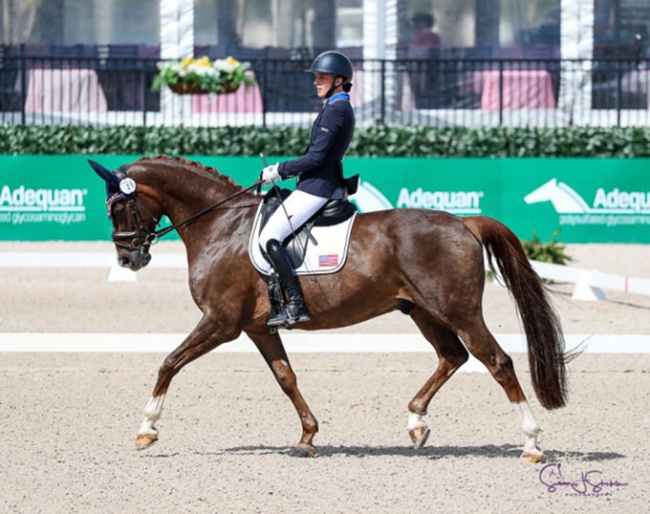 Fiona Howard and Diamond Dunes at the 2025 CPEDI Wellington :: Photo © Sue Stickle