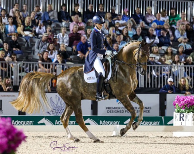 Adrienne Lyle and Helix at the 2025 CDI Wellington :: Photos © Sue Stickle