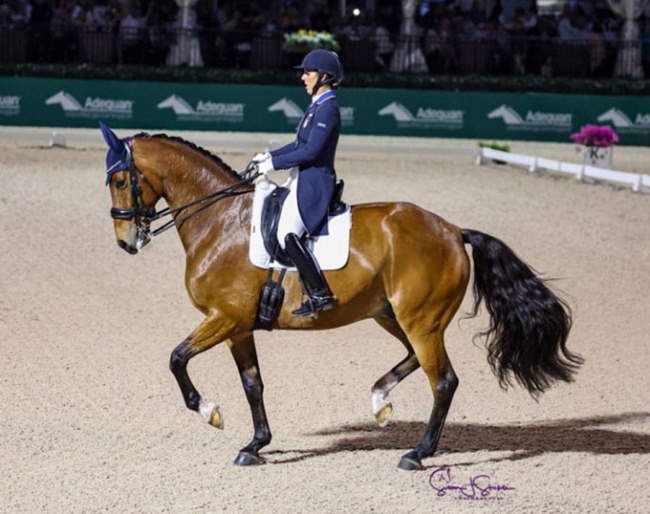 Kasey Perry-Glass and Heartbeat WP at the 2025 Global Dressage Festival in Wellington in their first Grand Prix together :: Photos © Astrid Appels